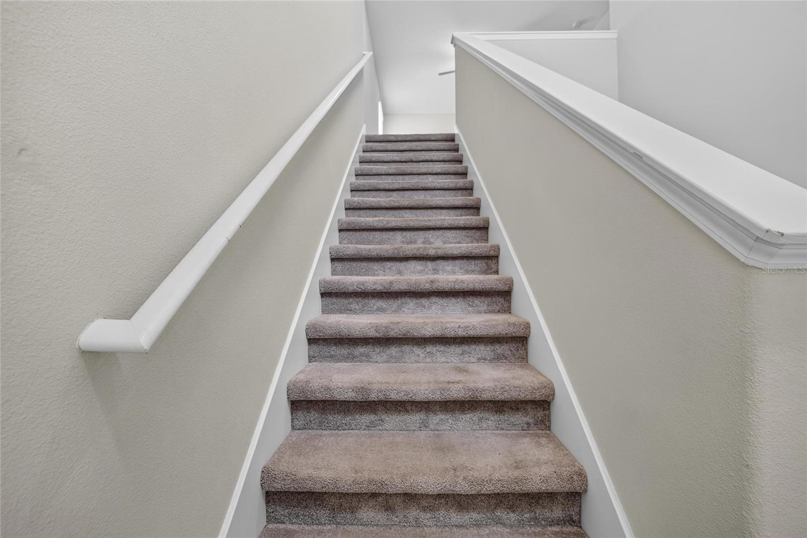31814 BARREL WAVE WAY — photo 37