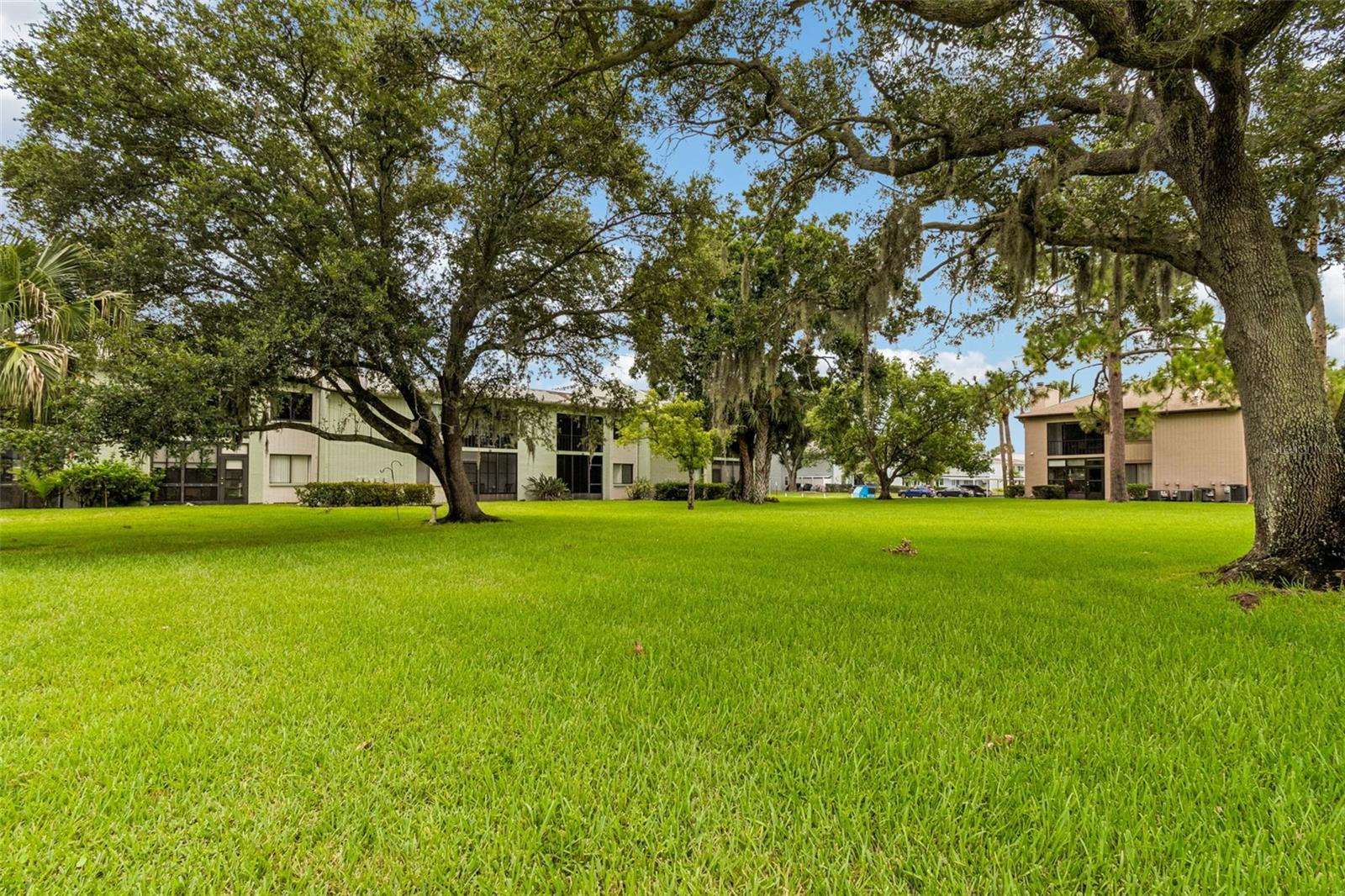 129 NANCY DR — photo 38