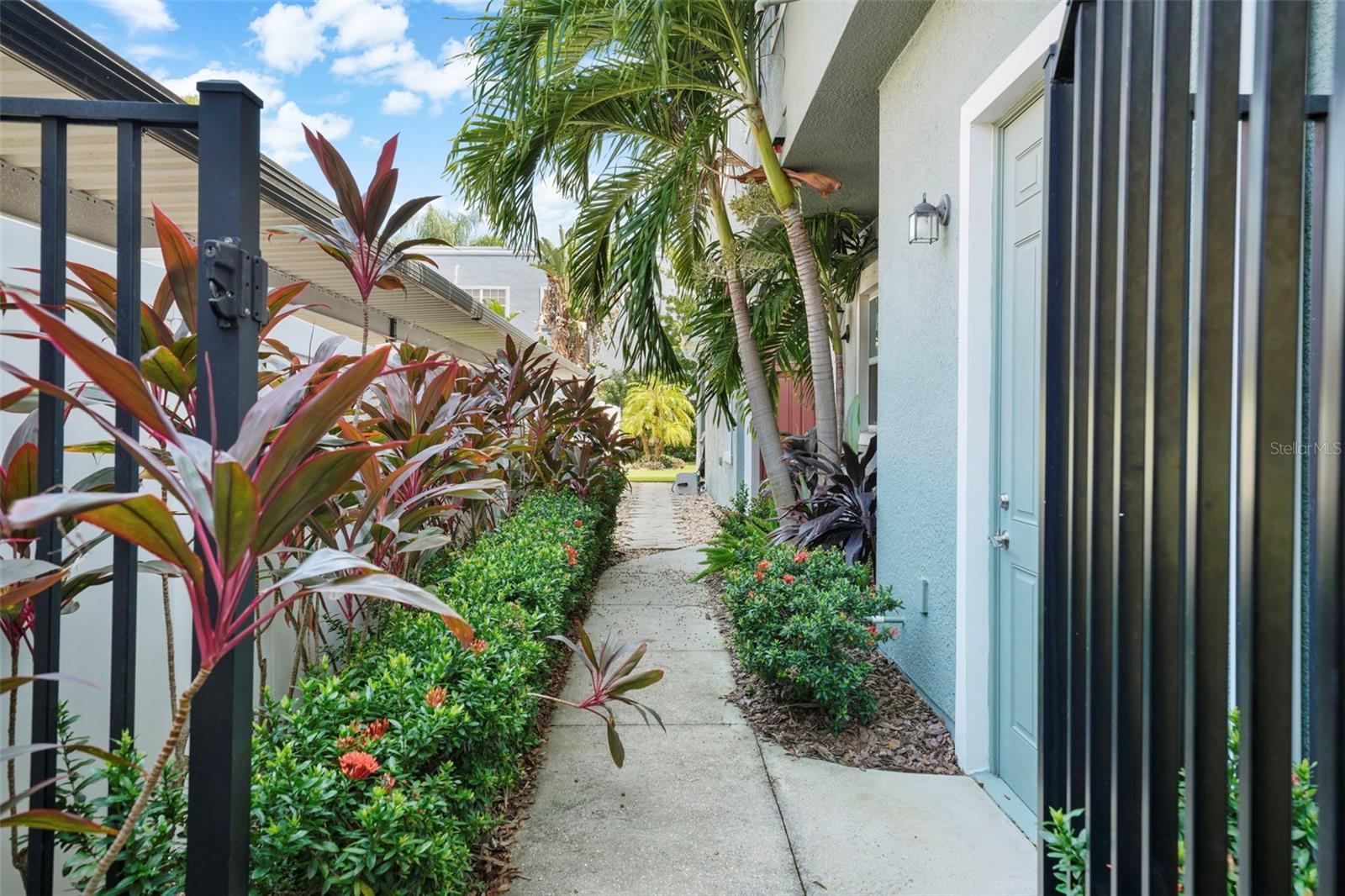 214 S HABANA AVE #1 — photo 3