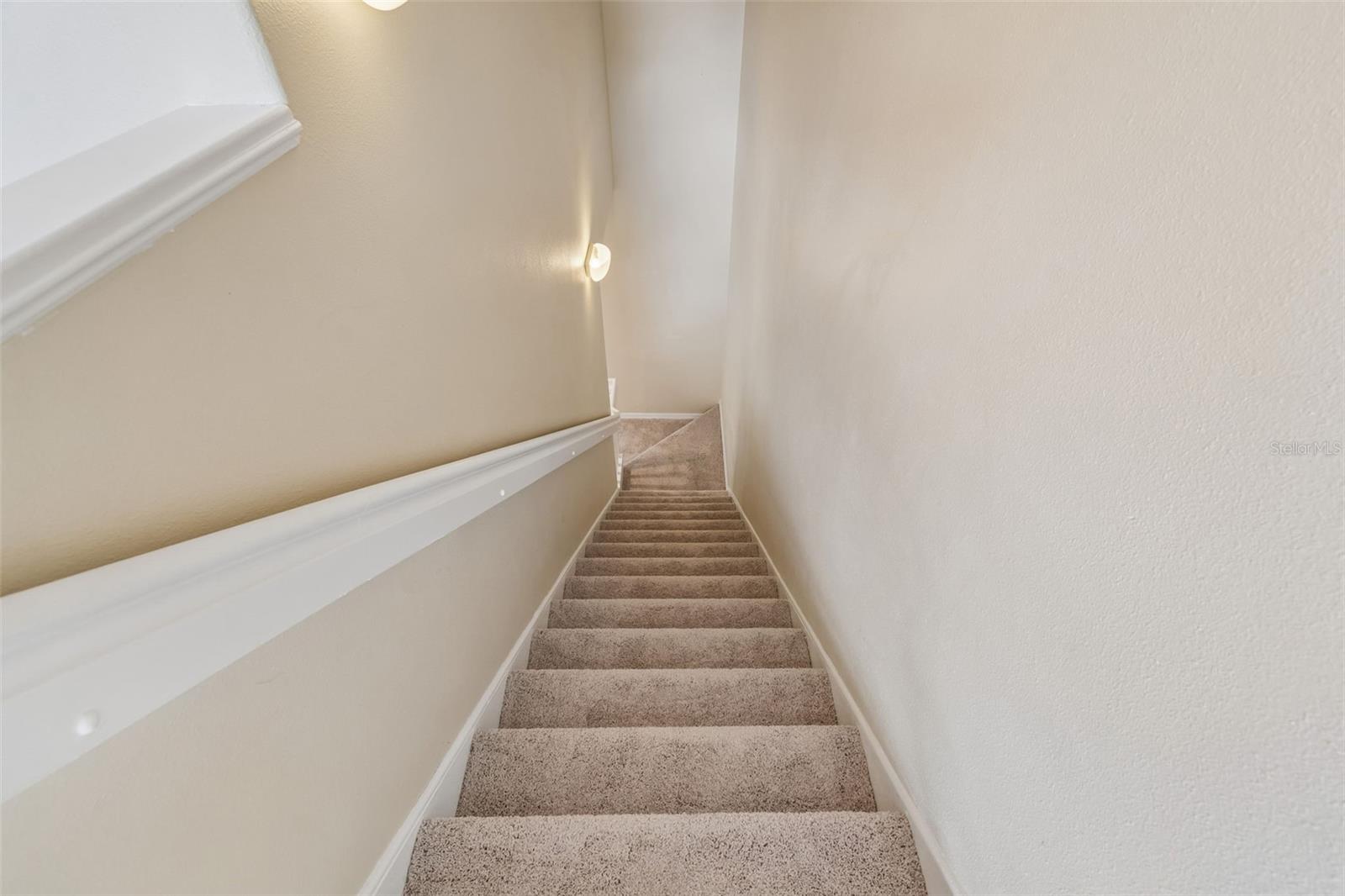 20112 INDIAN ROSEWOOD DR — photo 25