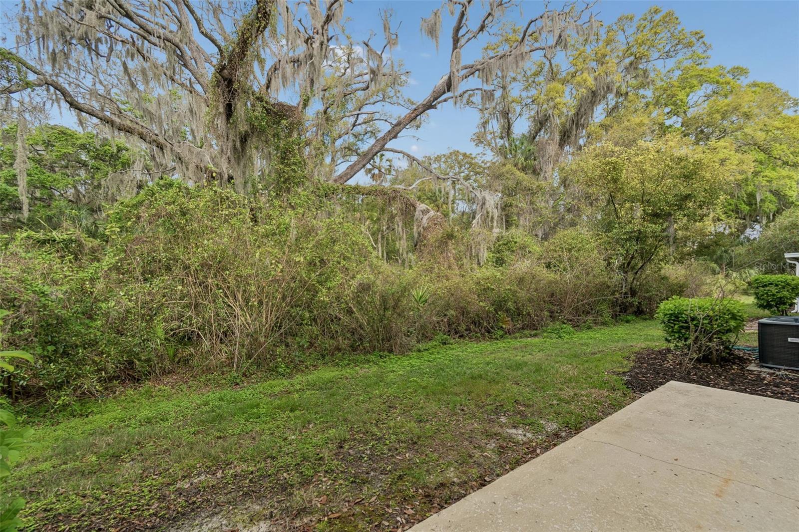 20112 INDIAN ROSEWOOD DR — photo 49
