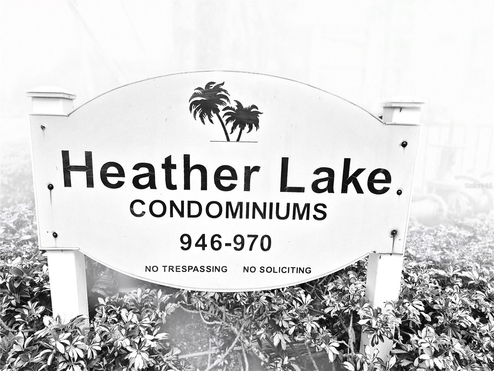 970 VIRGINIA ST #103 — photo 5
