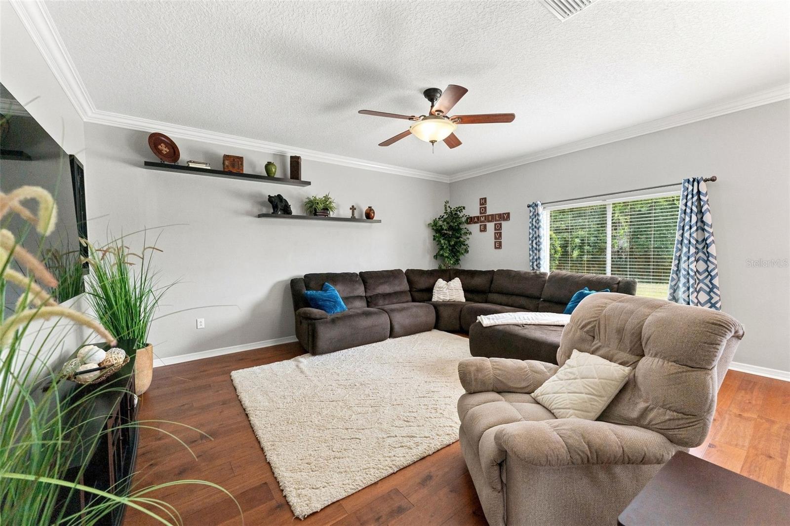 25515 BRUFORD BLVD — photo 9