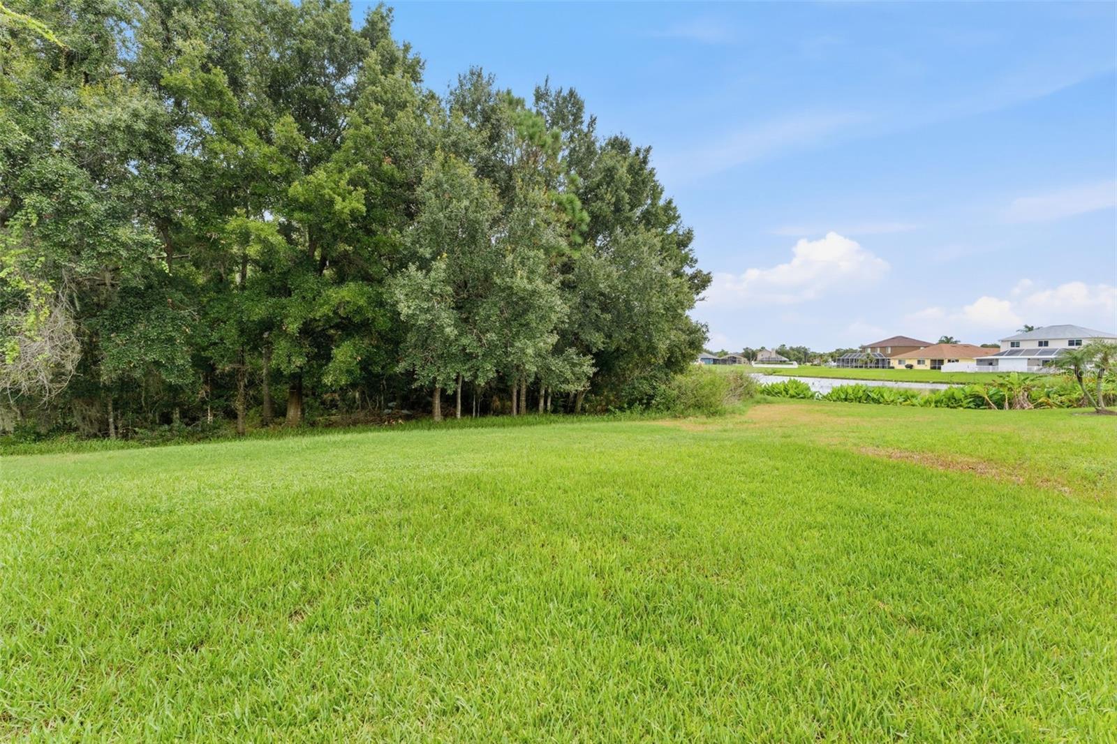 25515 BRUFORD BLVD — photo 36