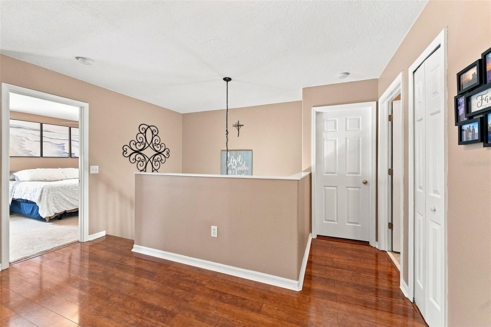 25515 BRUFORD BLVD — photo 17