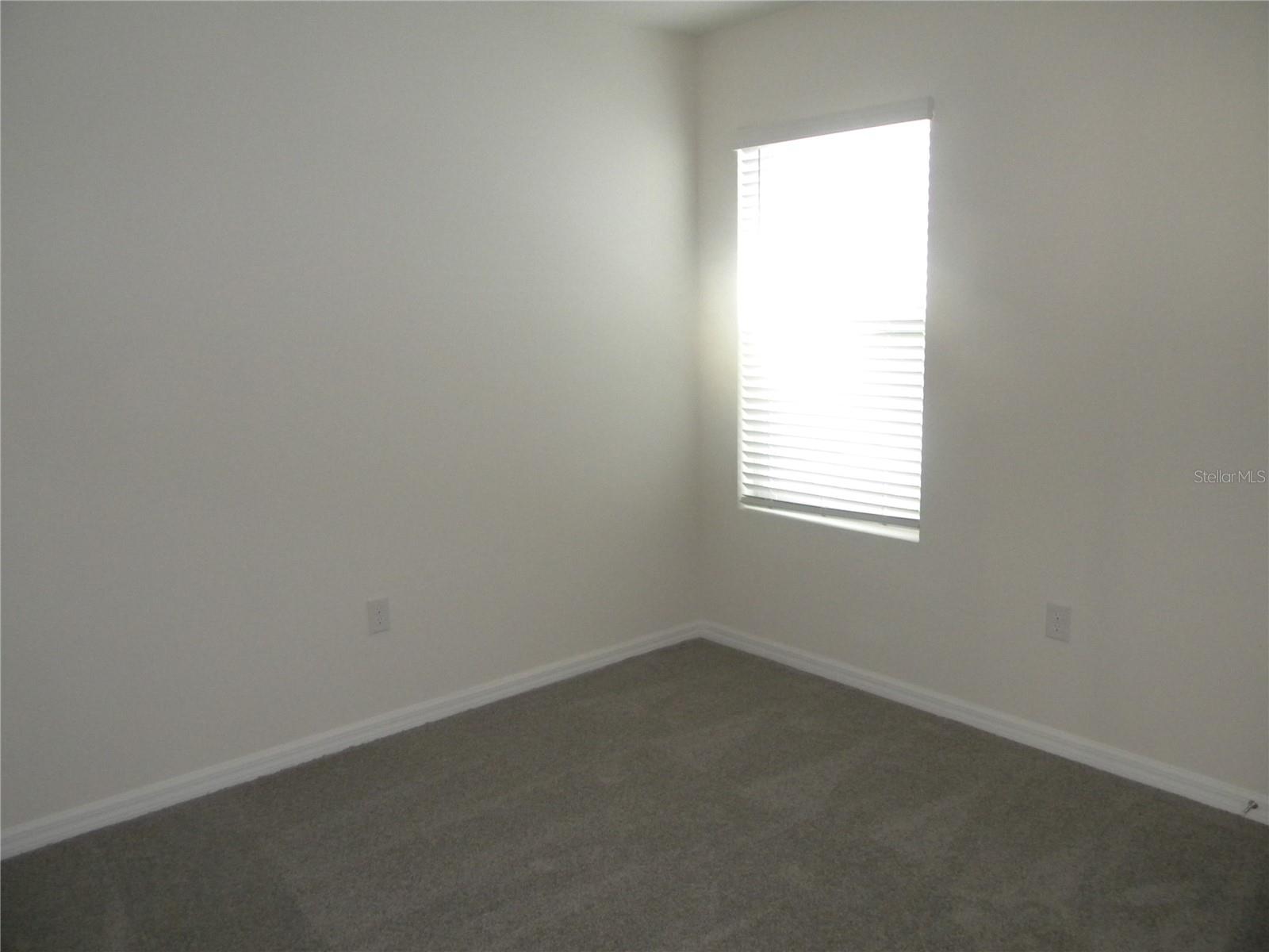 34274 JASPER STONE DR — photo 20