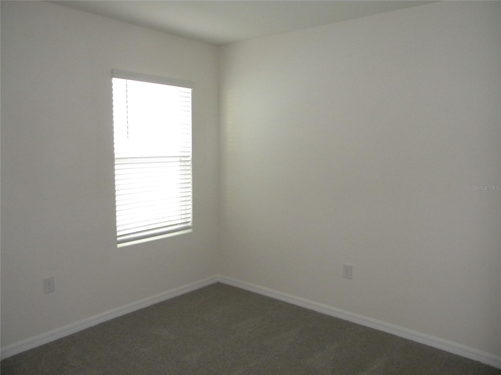 34274 JASPER STONE DR — photo 21