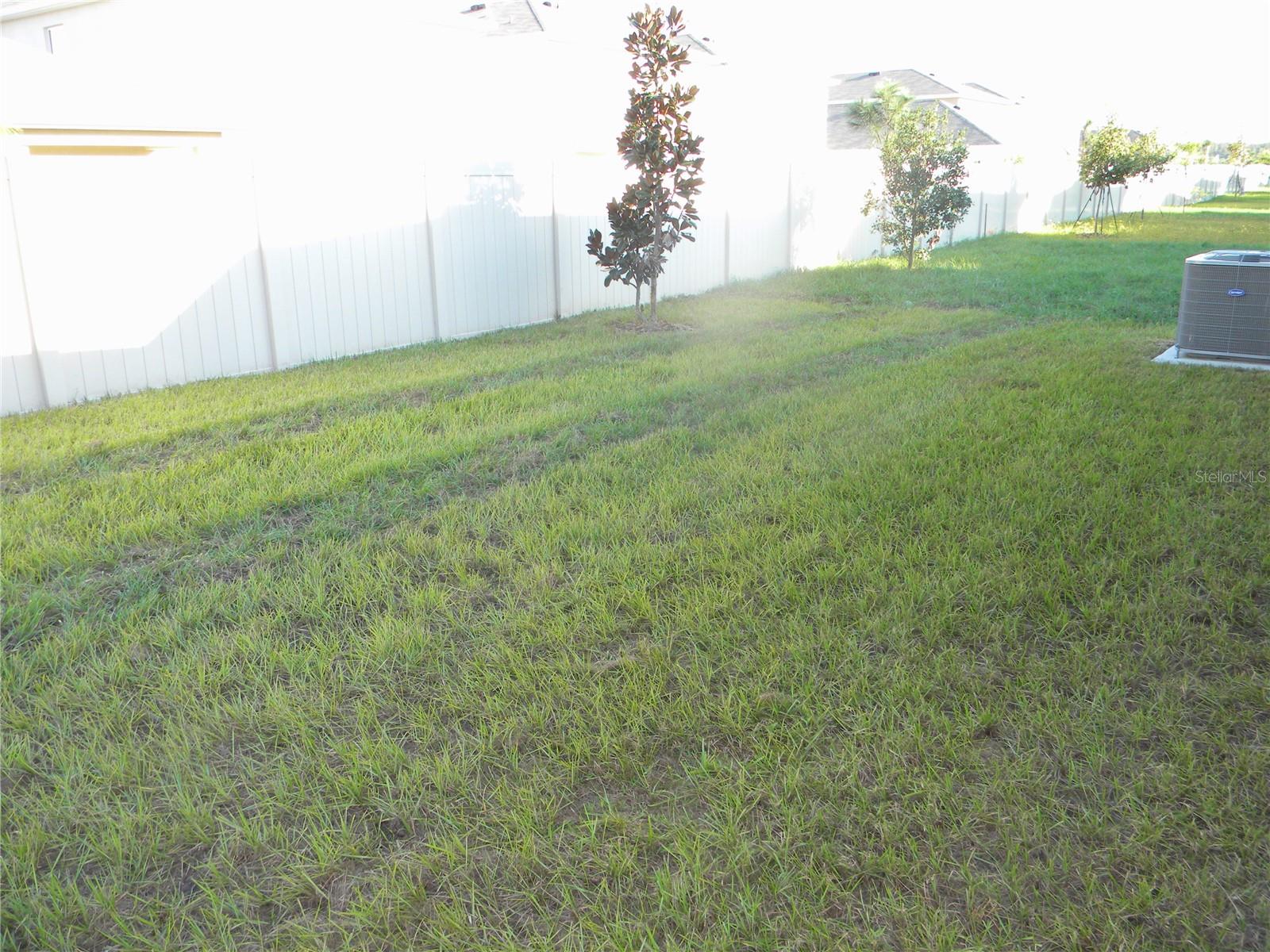 34274 JASPER STONE DR — photo 23