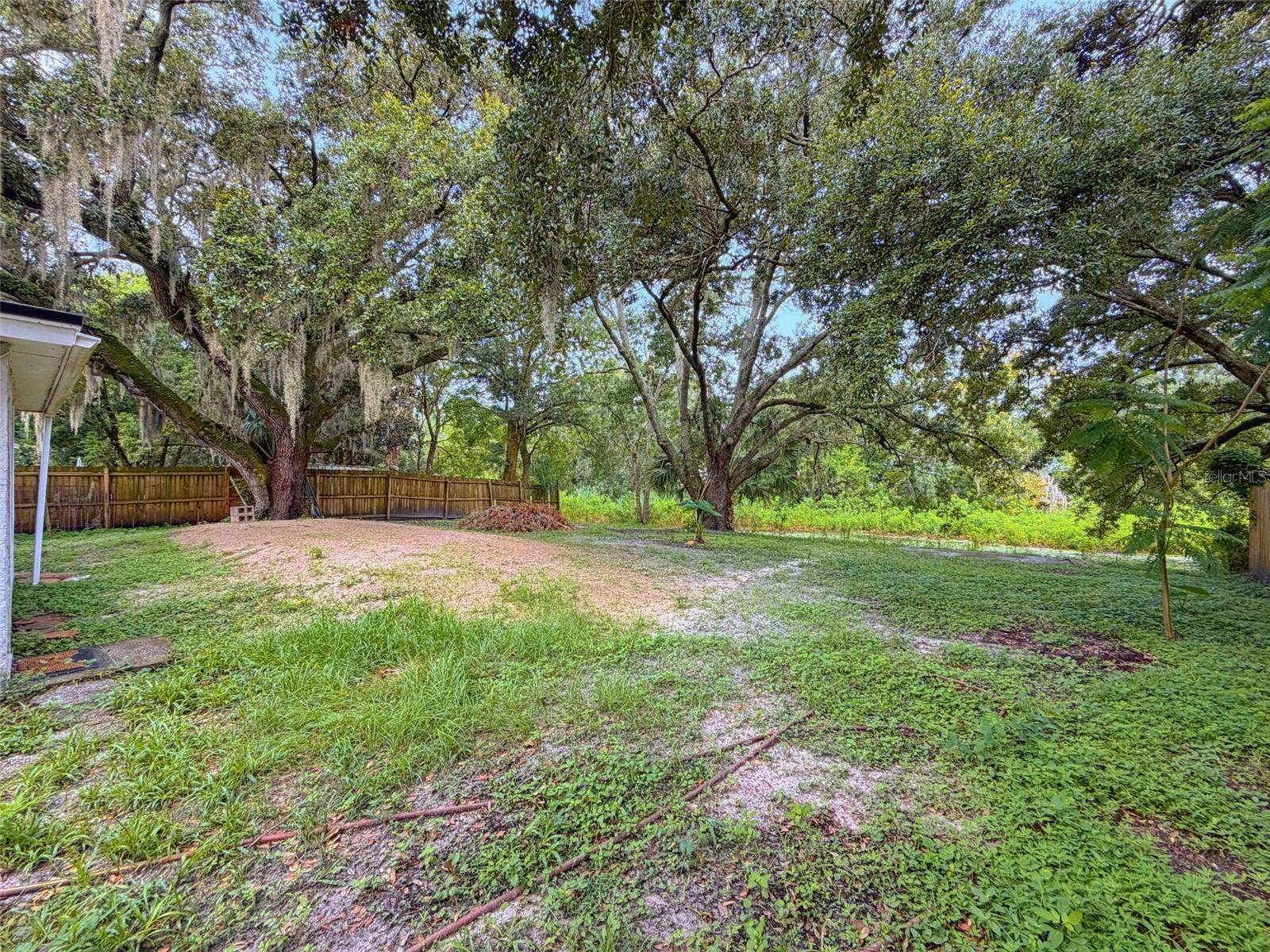 6845 MEDLAR DR — photo 25