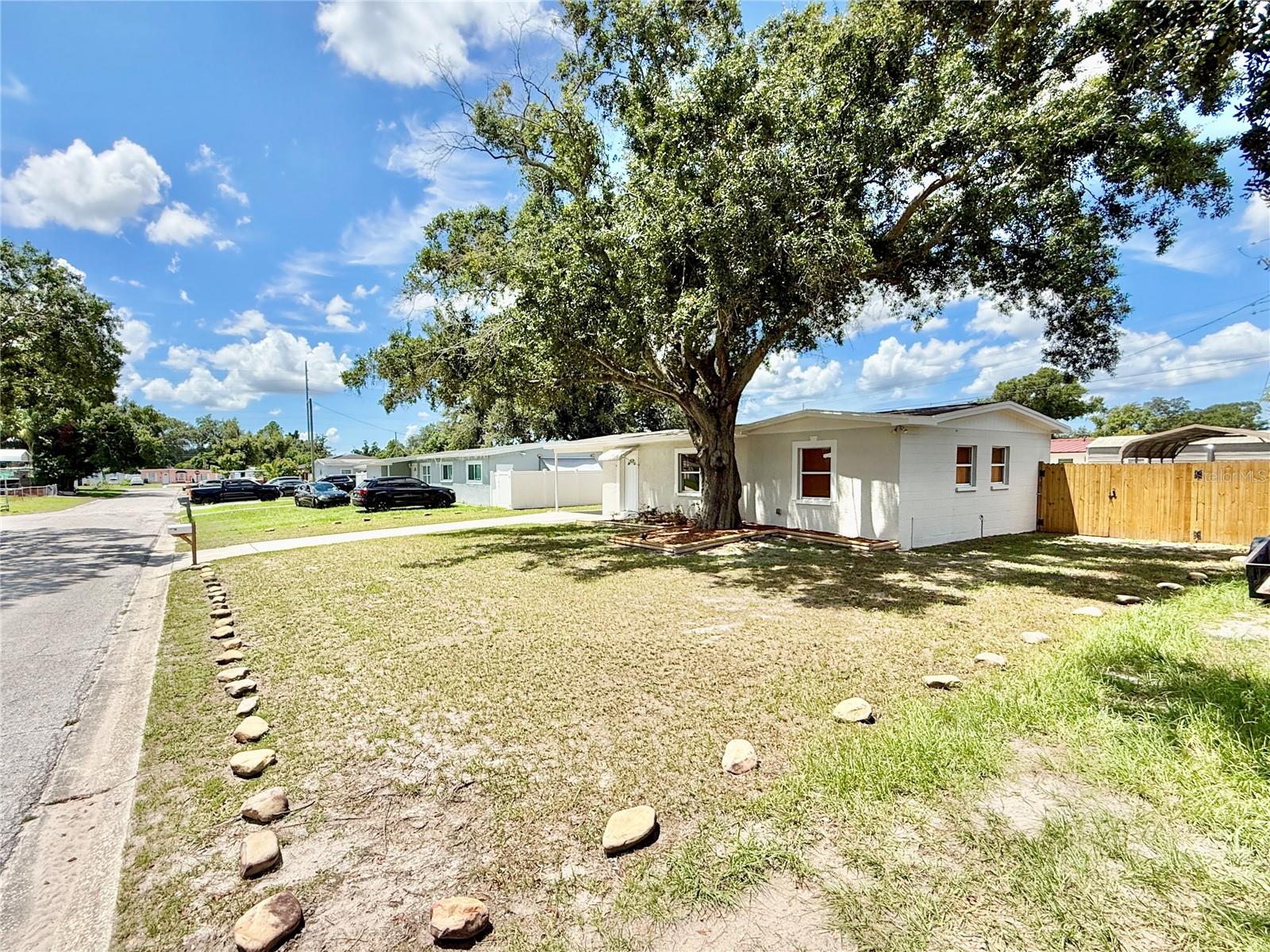 7810 FELICE AVE — photo 3