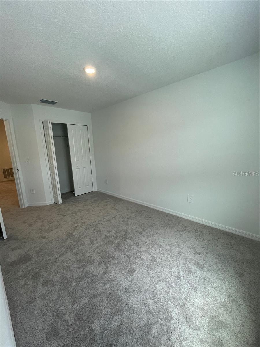 10199 TRUMPET HONEYSUCKLE WAY — photo 21