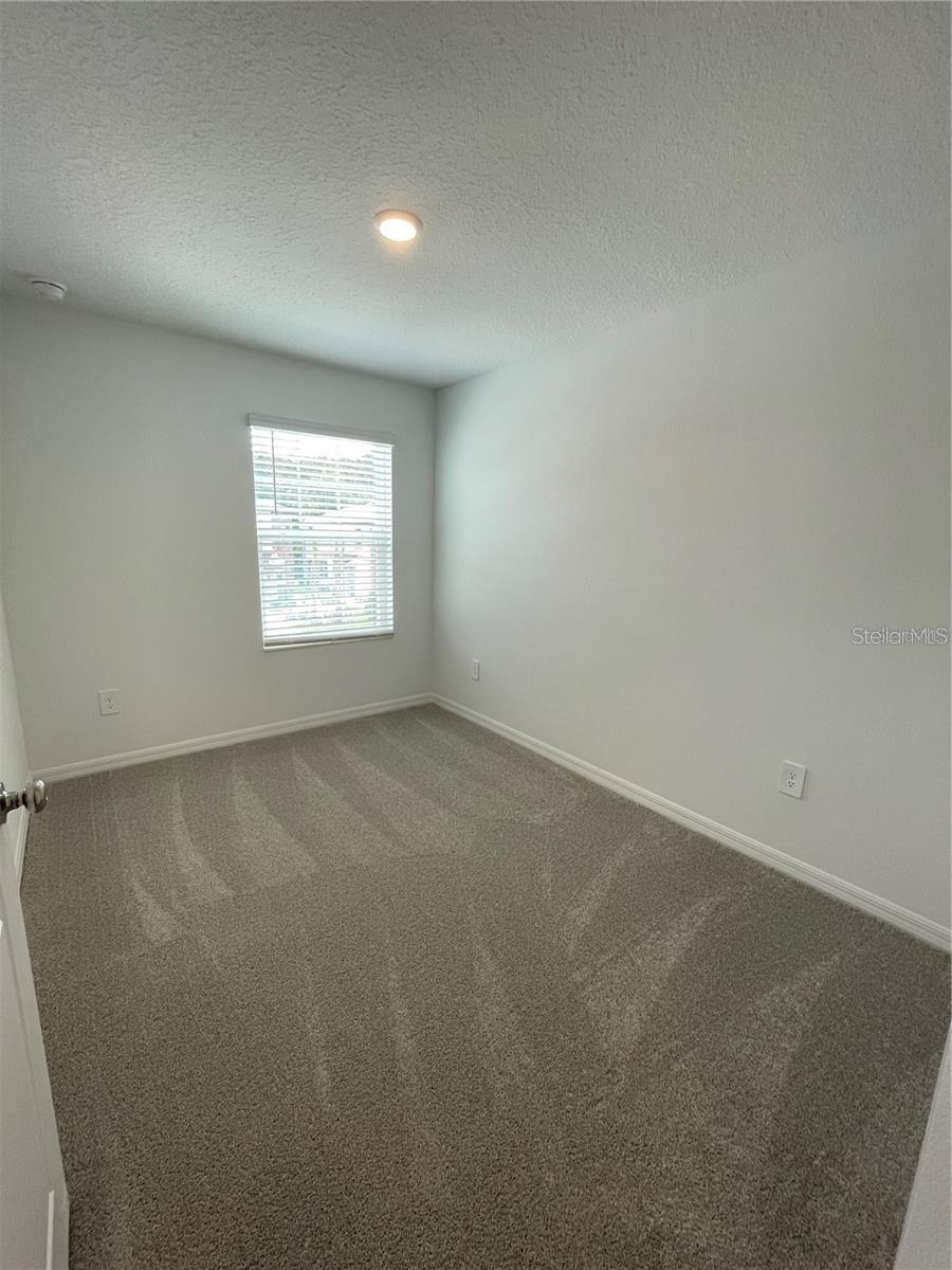 10199 TRUMPET HONEYSUCKLE WAY — photo 19