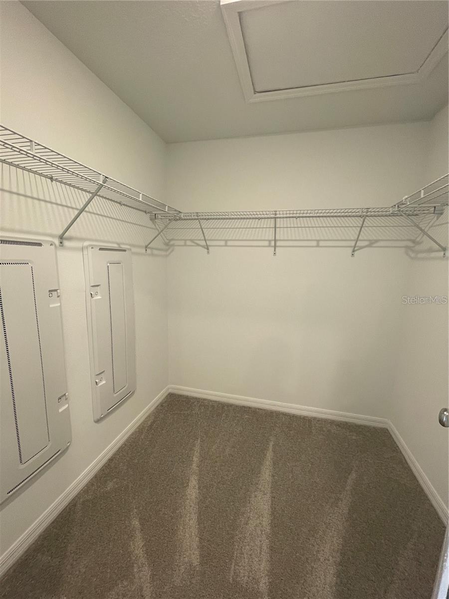 10199 TRUMPET HONEYSUCKLE WAY — photo 16