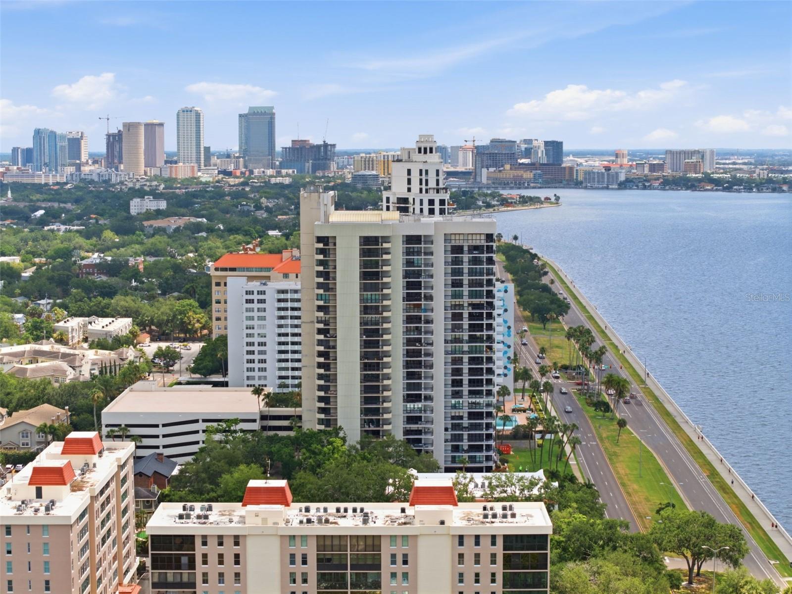 2413 BAYSHORE BLVD #1004 — photo 48