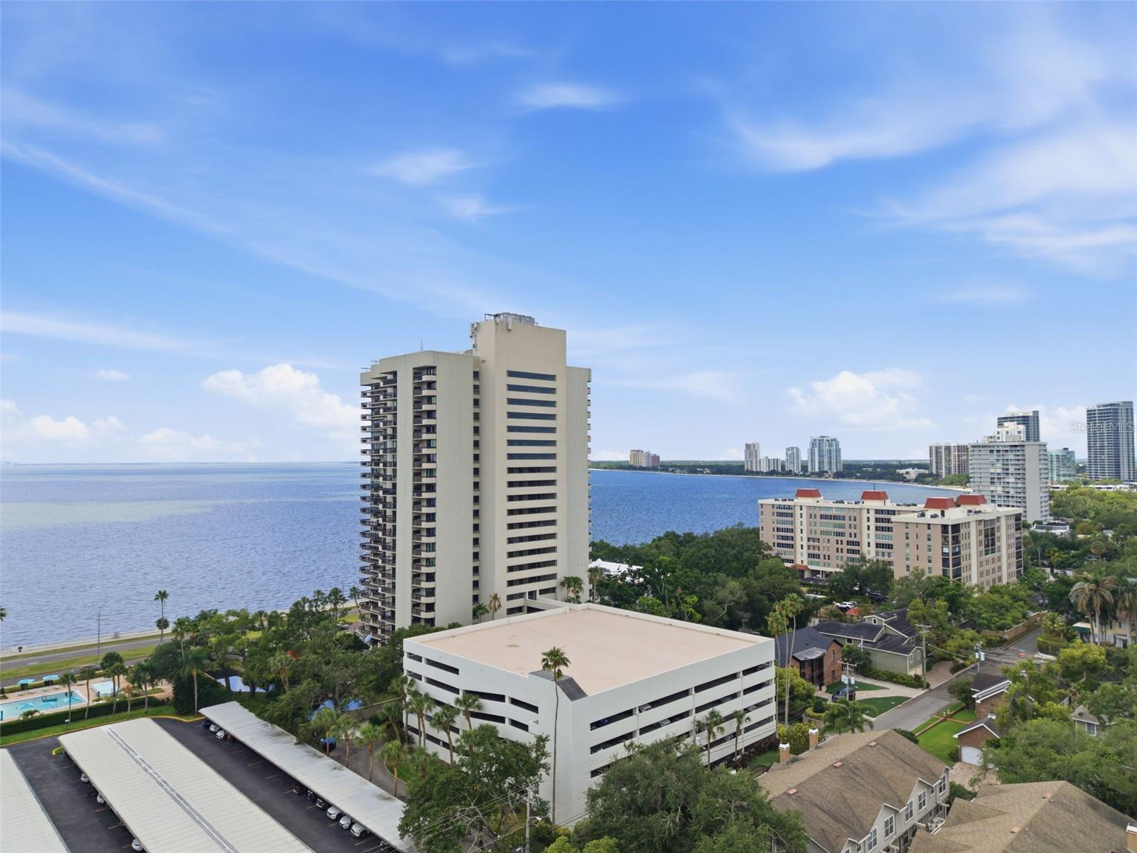 2413 BAYSHORE BLVD #1004 — photo 44