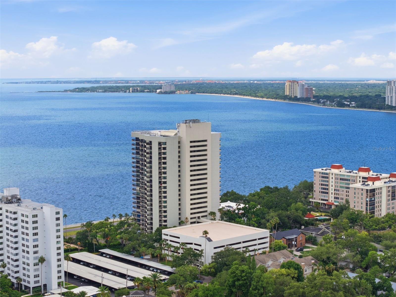 2413 BAYSHORE BLVD #1004 — photo 45