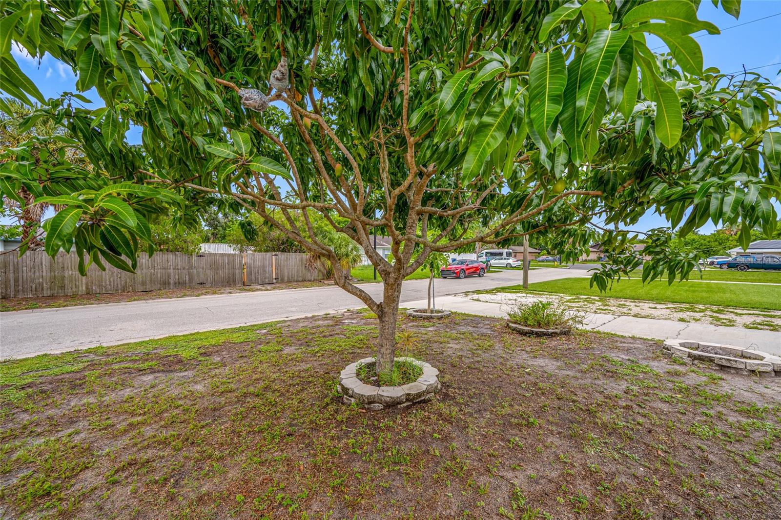 4115 55TH AVENUE DR E — photo 23