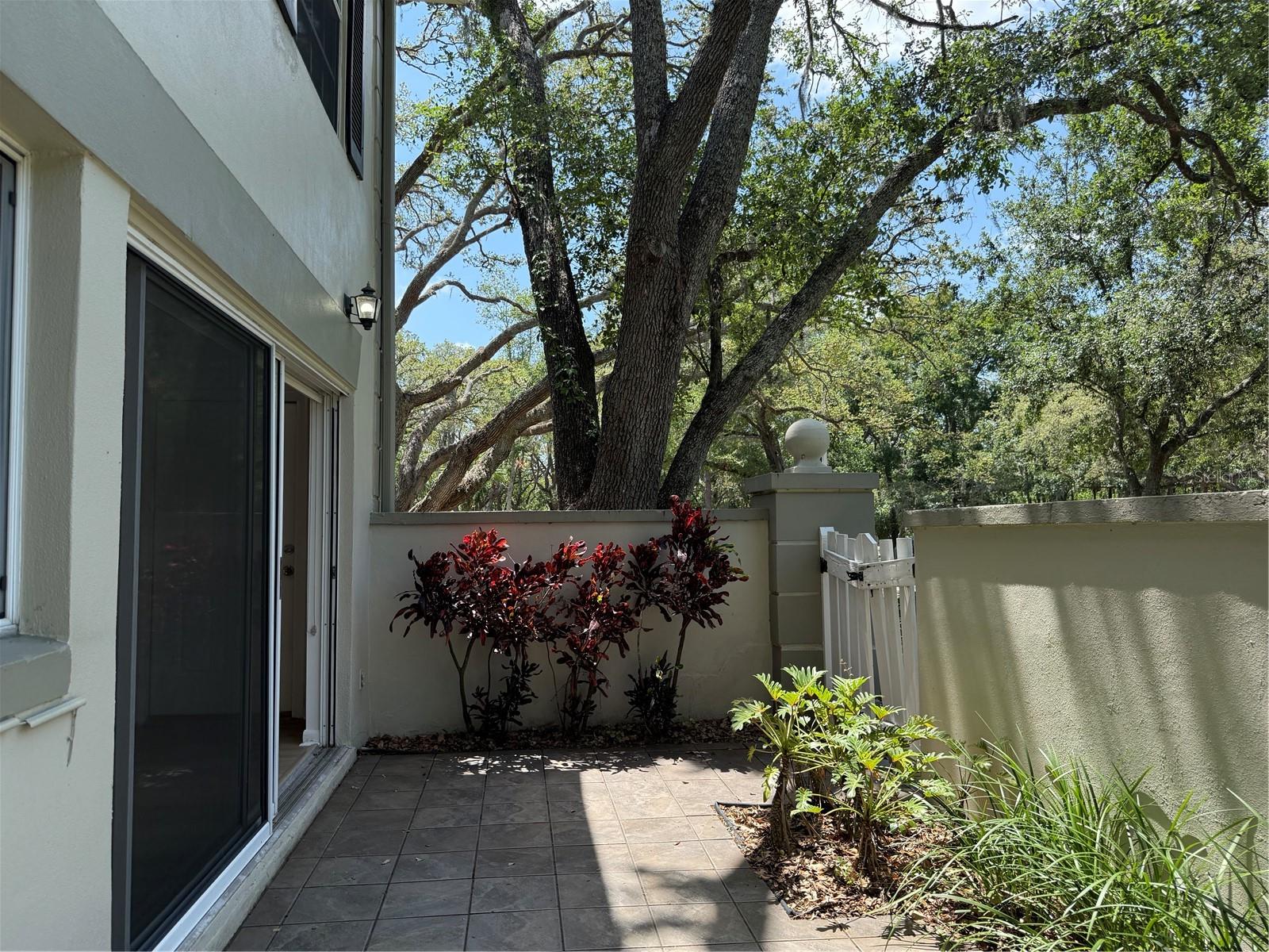 6206 DEWDROP WAY — photo 10