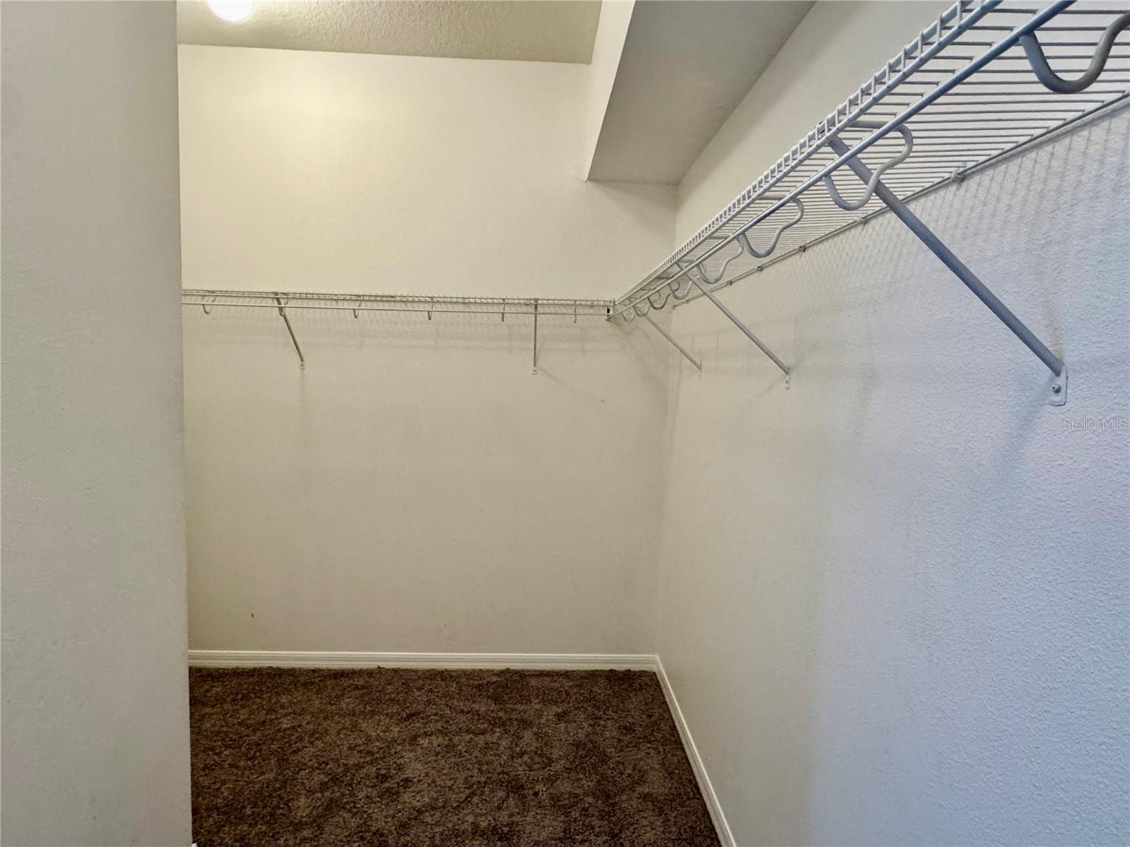 13052 TERRACE SPRINGS DR — photo 18
