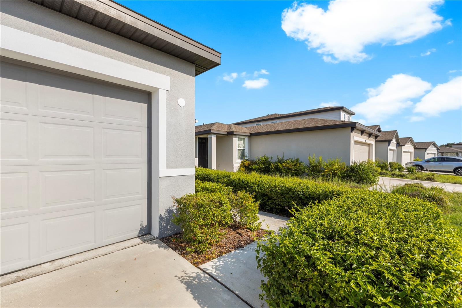 34799 TELLURIDE LN — photo 5