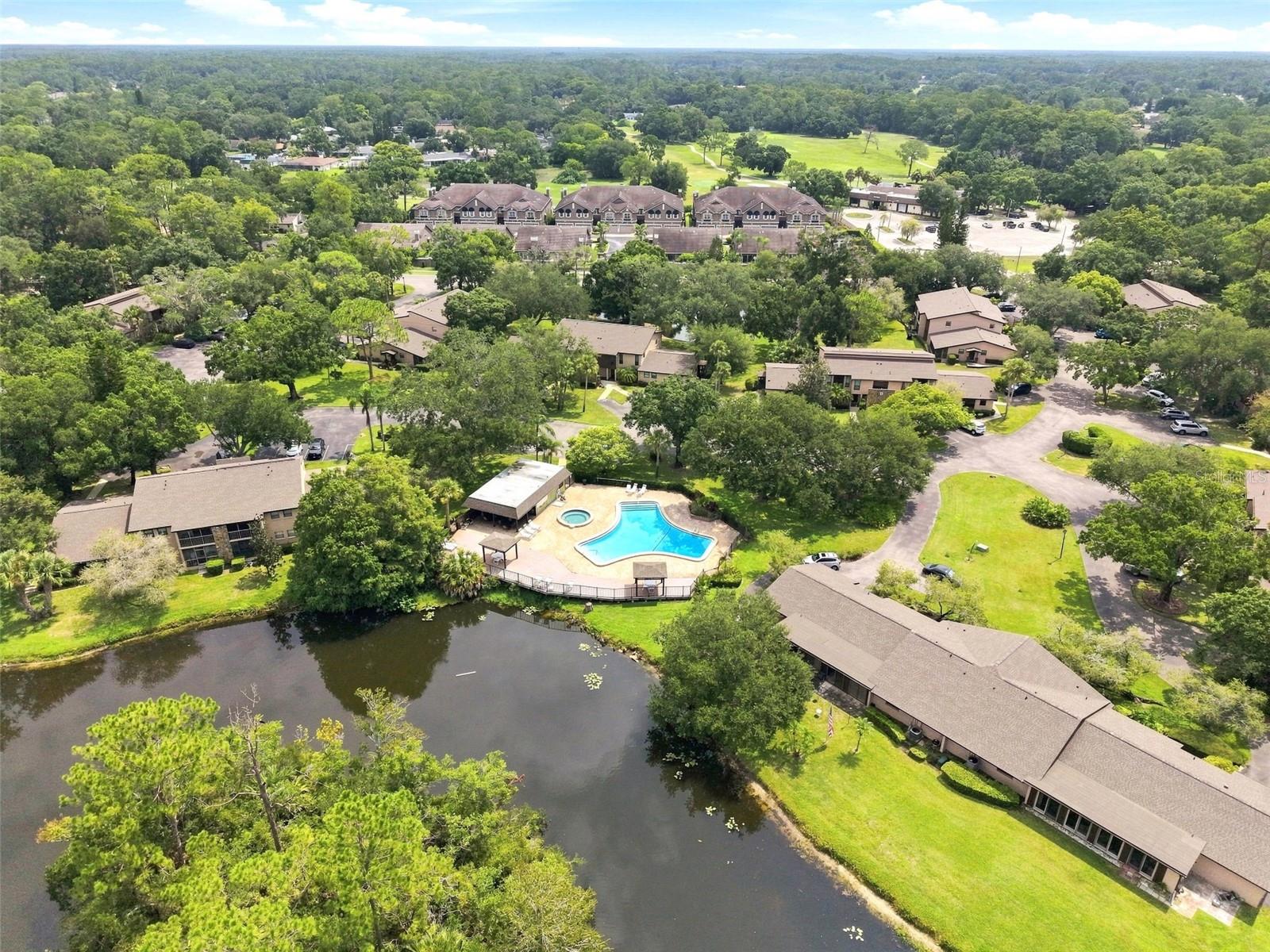 1400 TARPON WOODS BLVD #A1 — photo 40