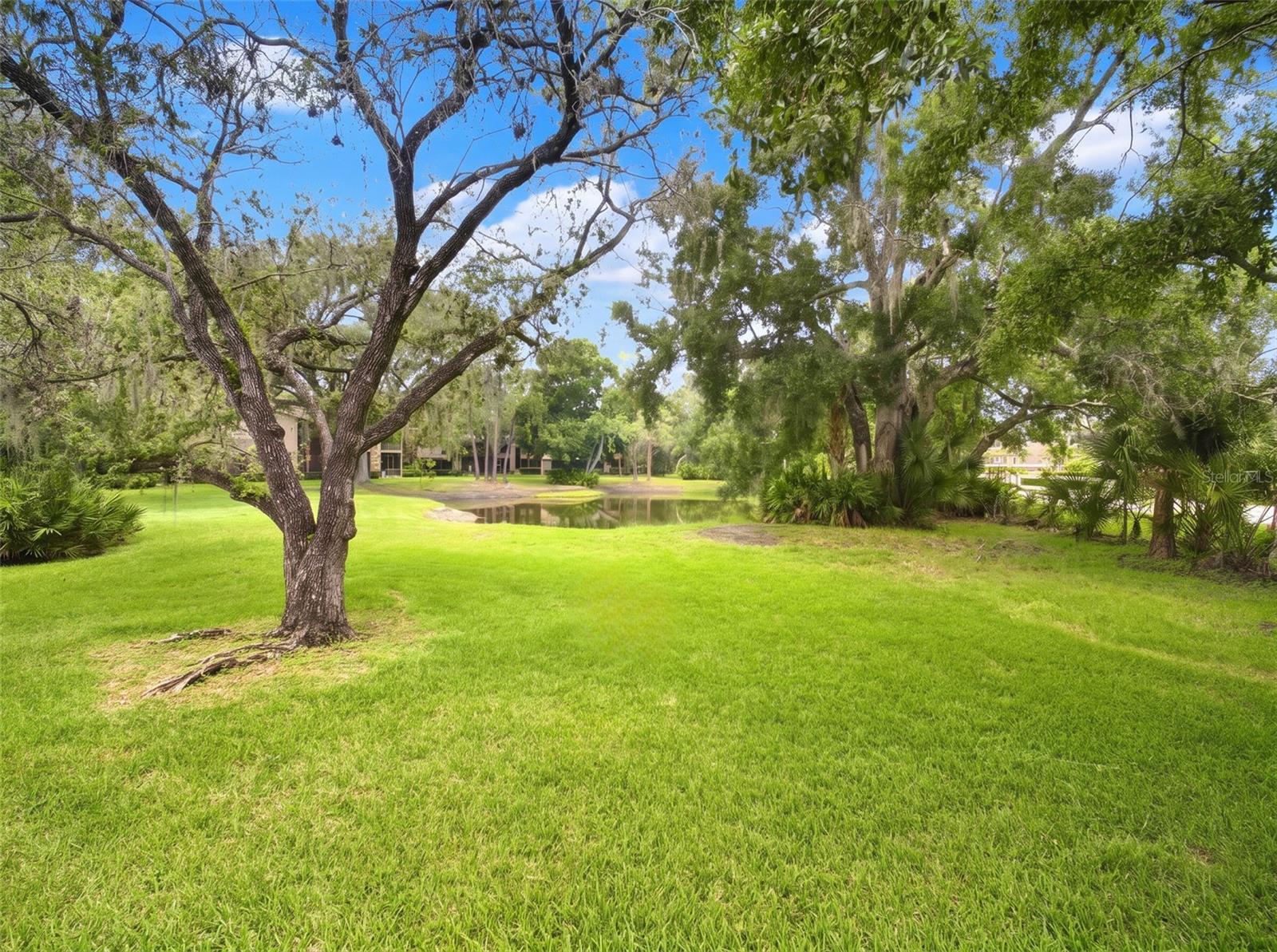 1400 TARPON WOODS BLVD #A1 — photo 37