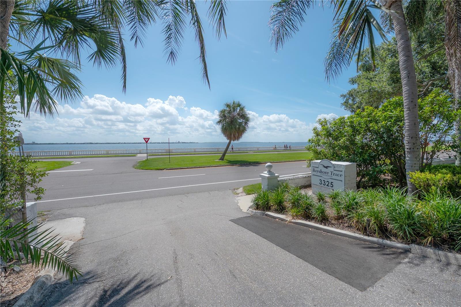 3325 BAYSHORE BLVD #A17 — photo 4
