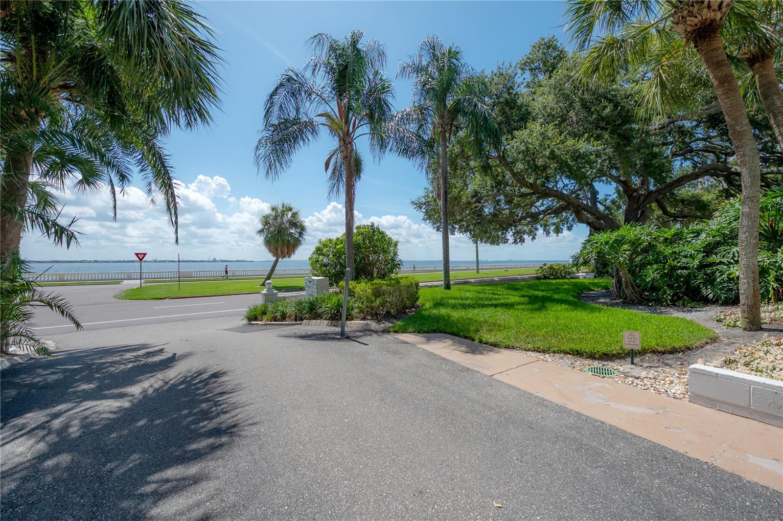 3325 BAYSHORE BLVD #A17 — photo 3