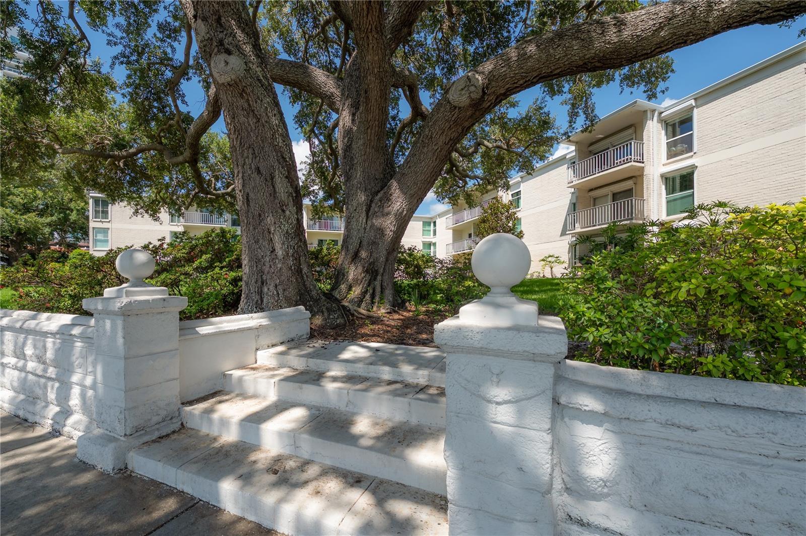3325 BAYSHORE BLVD #A17 — photo 6