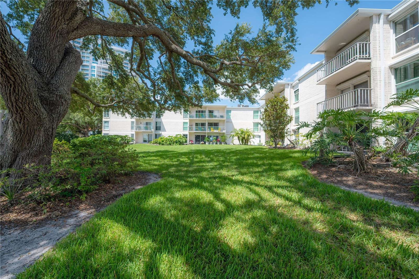 3325 BAYSHORE BLVD #A17 — photo 44