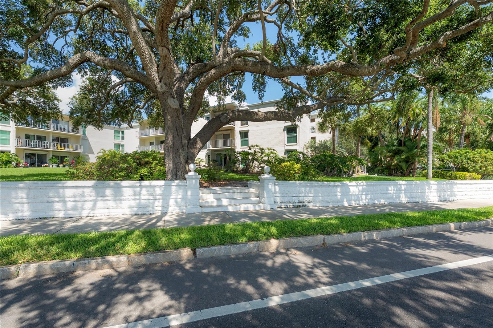 3325 BAYSHORE BLVD #A17 — photo 43