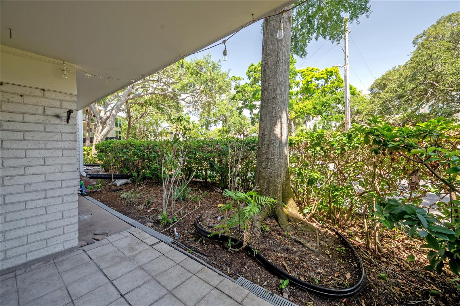 3325 BAYSHORE BLVD #A17 — photo 31