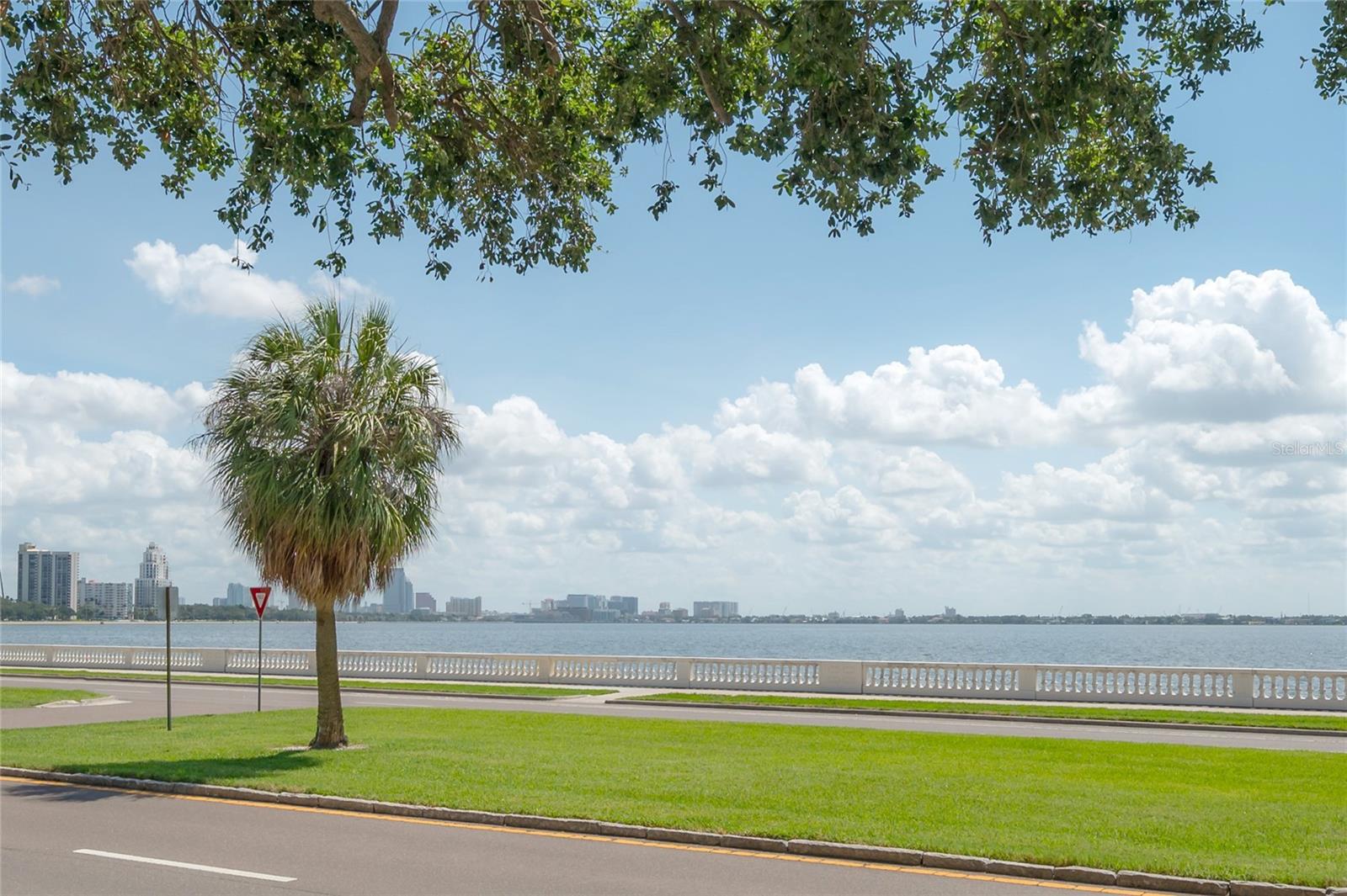 3325 BAYSHORE BLVD #A17 — photo 2