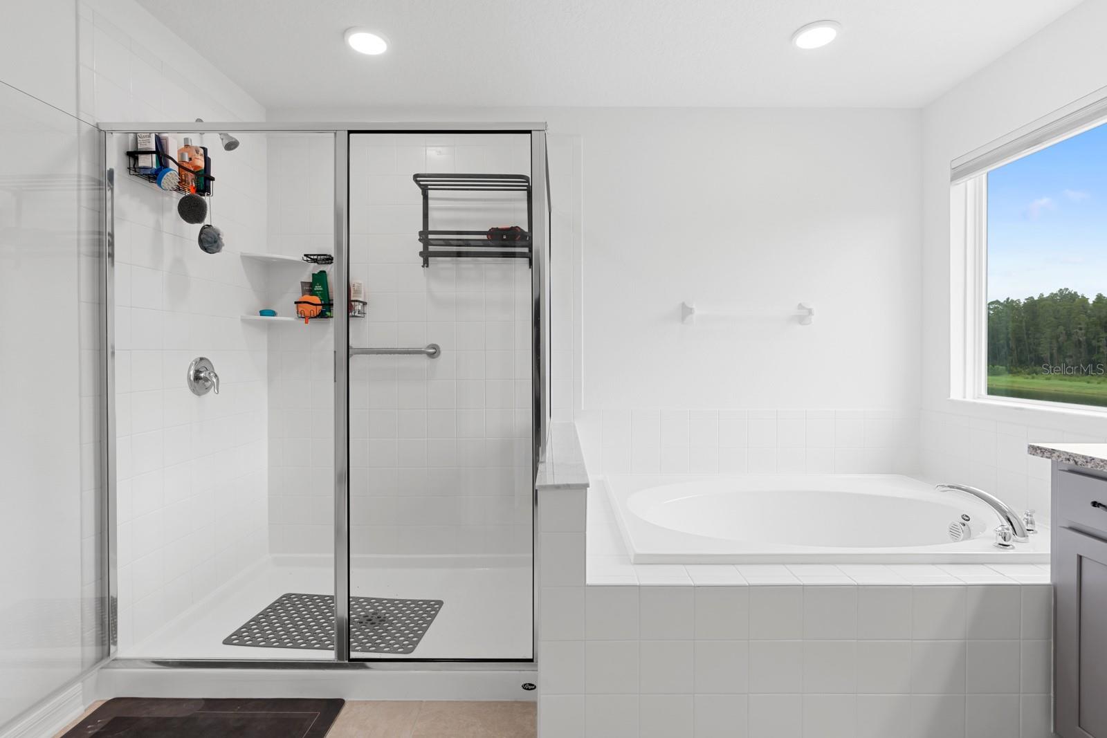 10726 NEW MORNING DR — photo 48