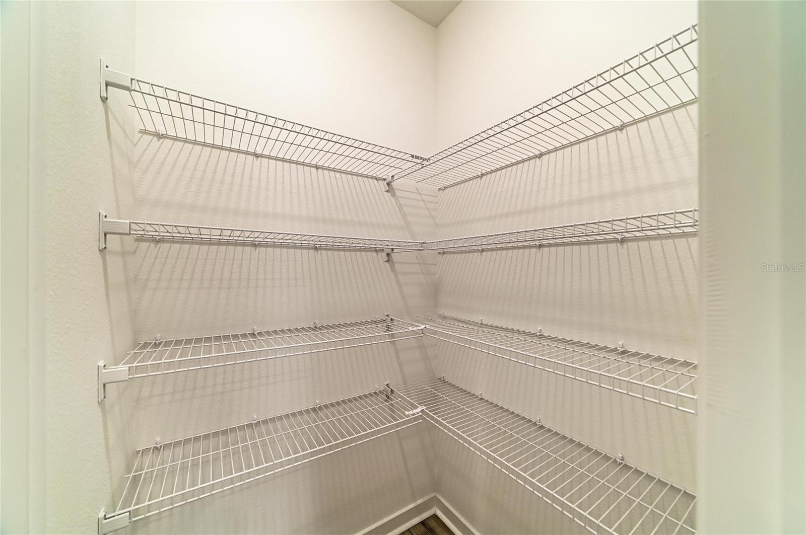 12703 BLUE REFLECTION AVE — photo 25