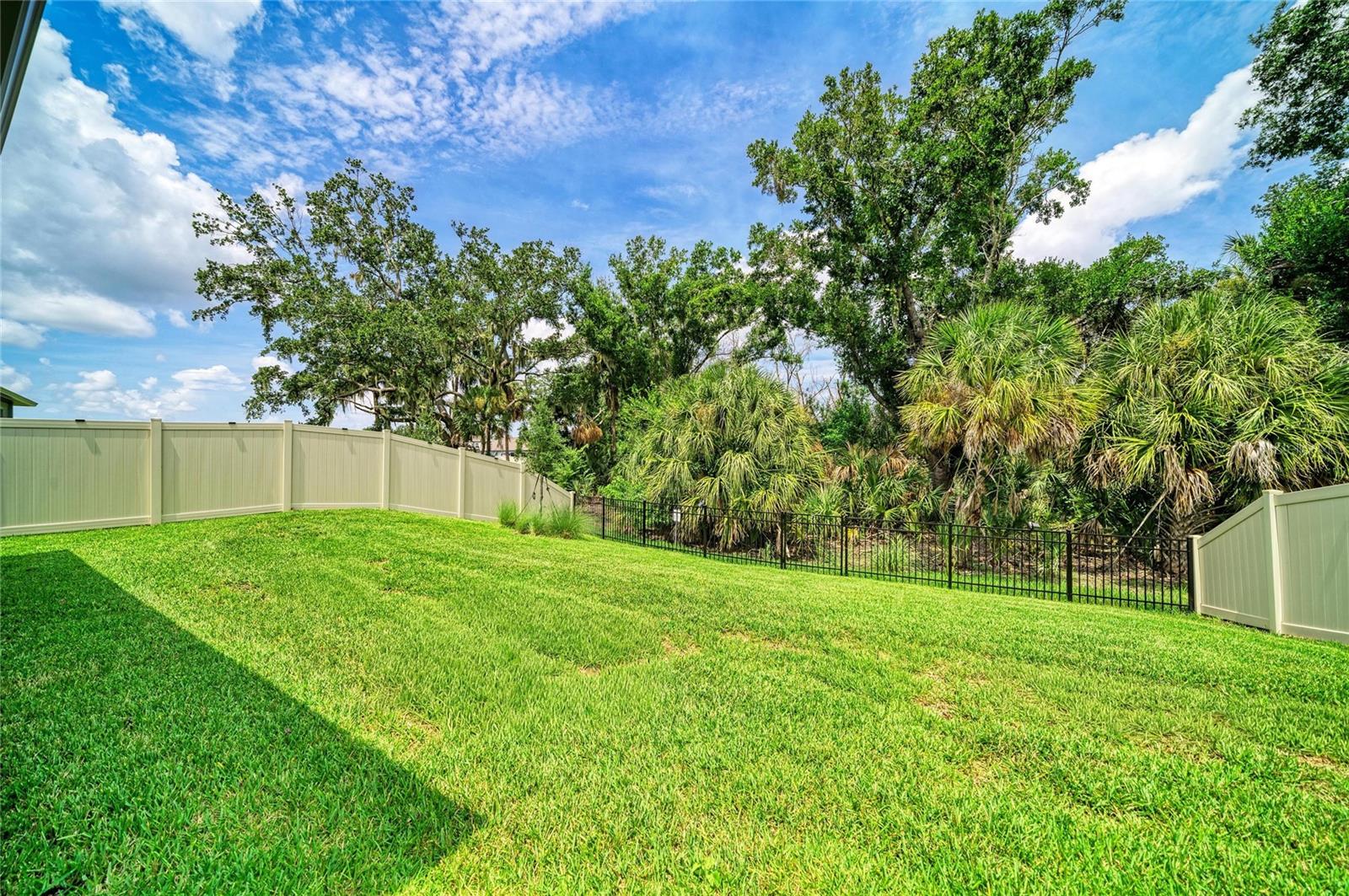 12703 BLUE REFLECTION AVE — photo 51