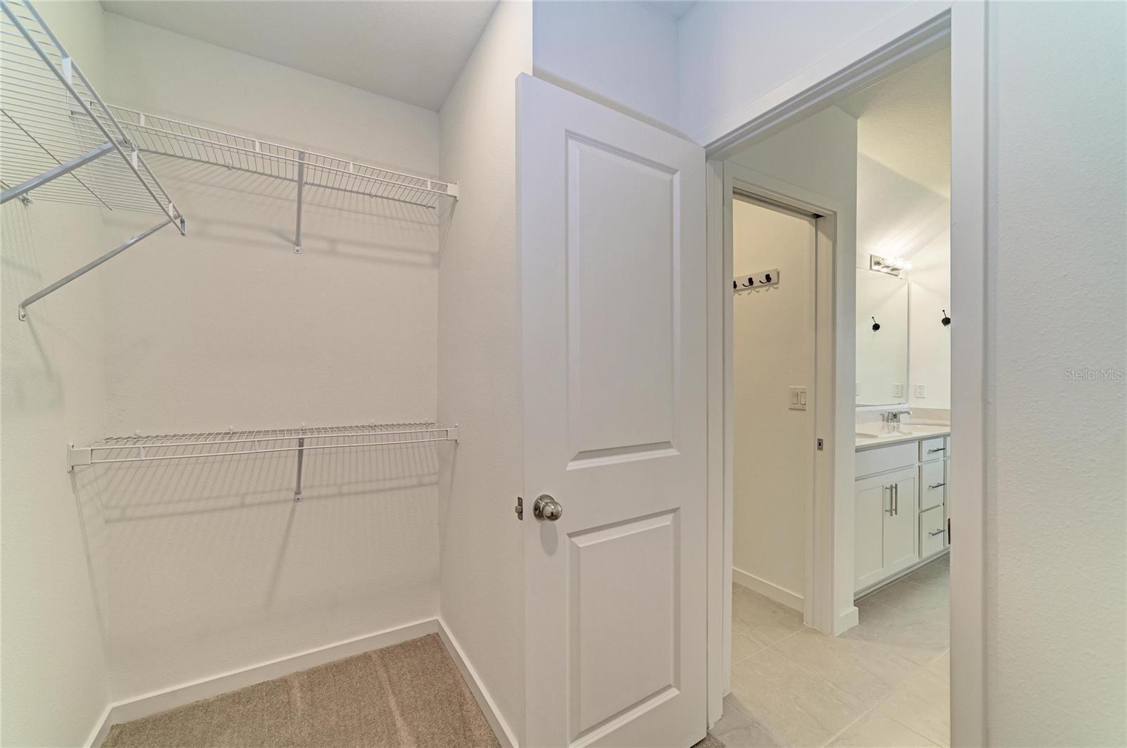12703 BLUE REFLECTION AVE — photo 32