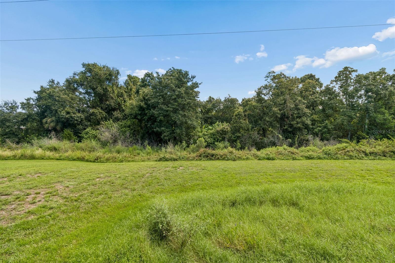 32707 US HIGHWAY 19 N — photo 80
