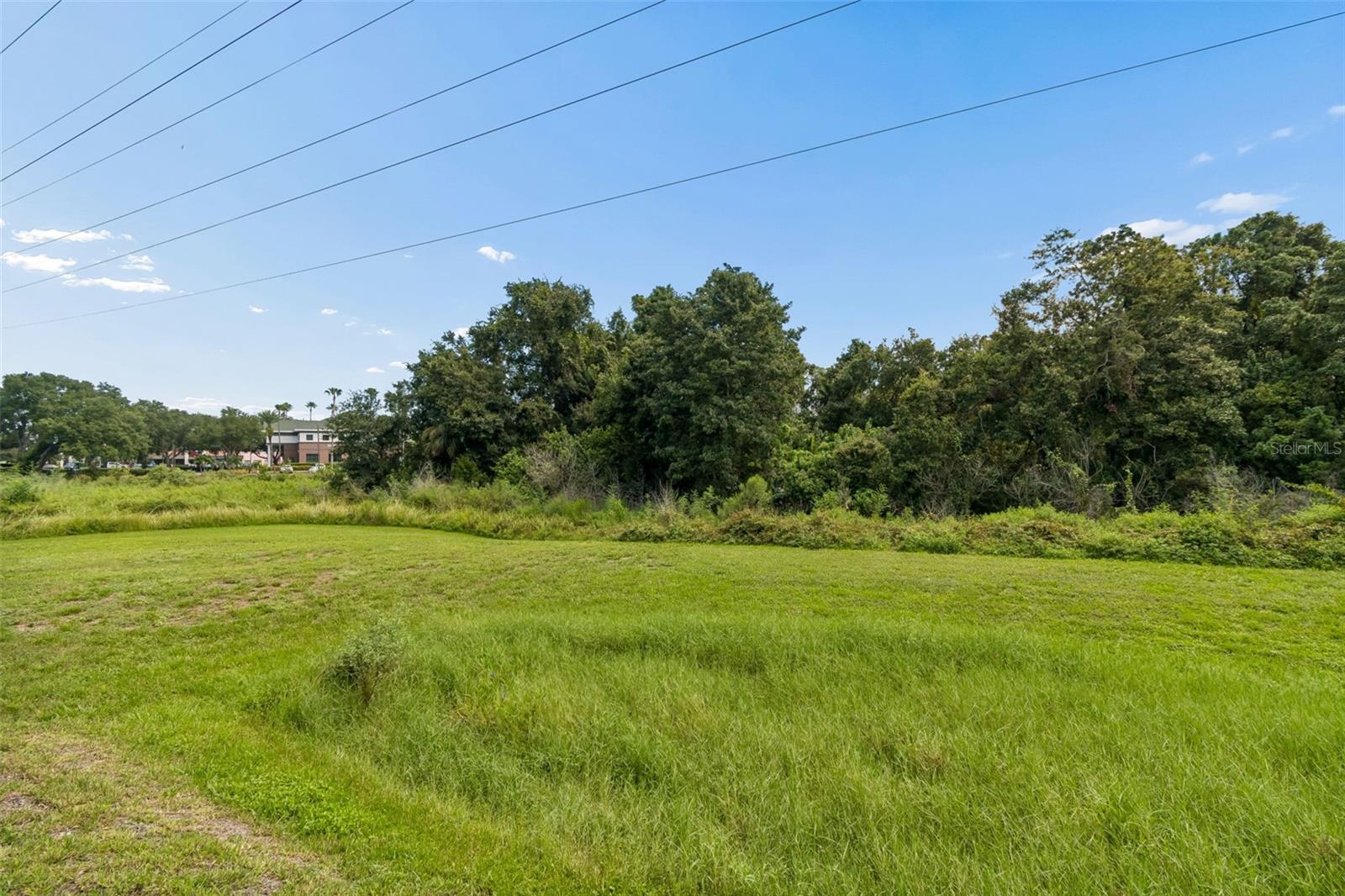 32707 US HIGHWAY 19 N — photo 81
