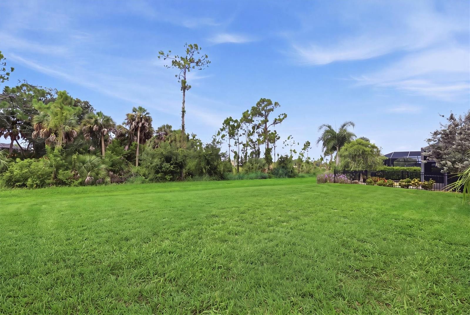 11595 RENAISSANCE BLVD — photo 33