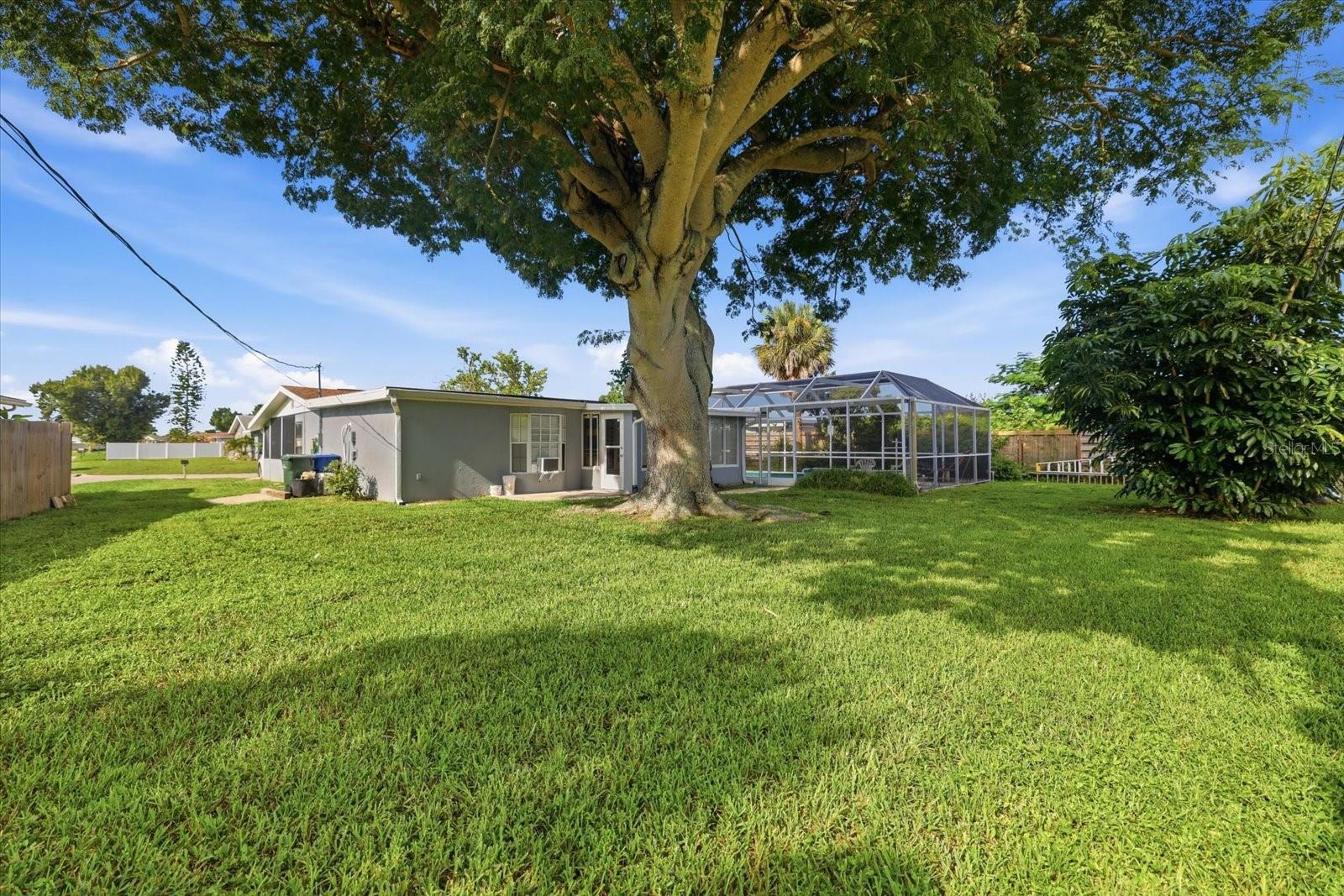 134 PADDINGTON RD — photo 34