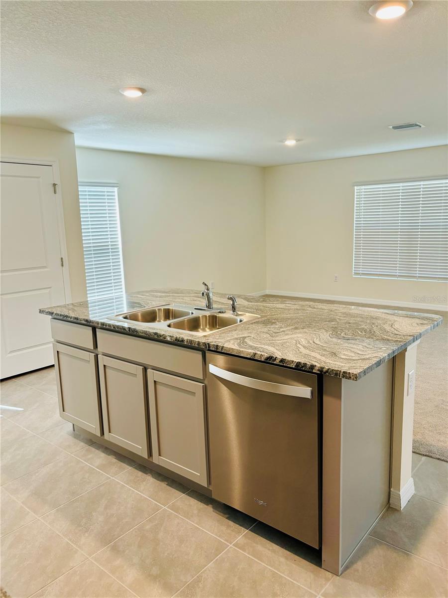 13649 WHISKEY DAISY DR — photo 10