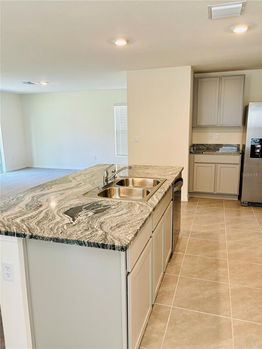 13649 WHISKEY DAISY DR — photo 5
