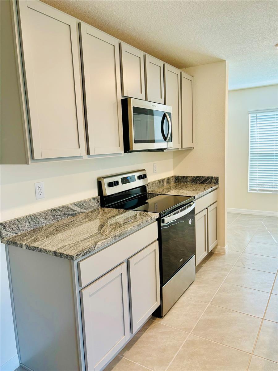 13649 WHISKEY DAISY DR — photo 9
