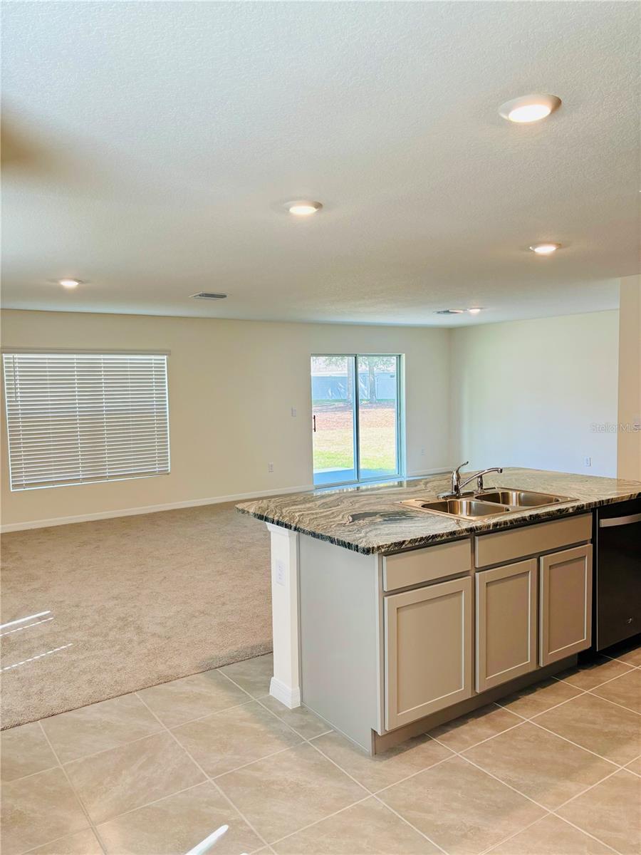 13649 WHISKEY DAISY DR — photo 4