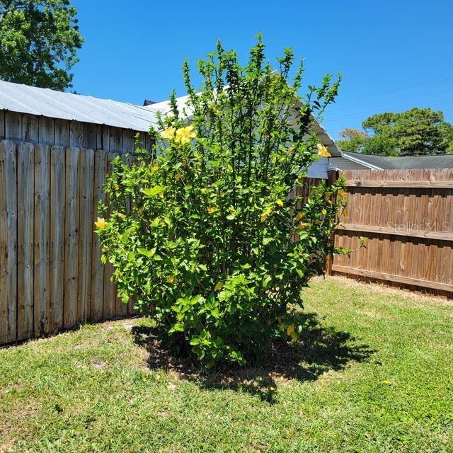 7431 SHEEPSHEAD DR — photo 13