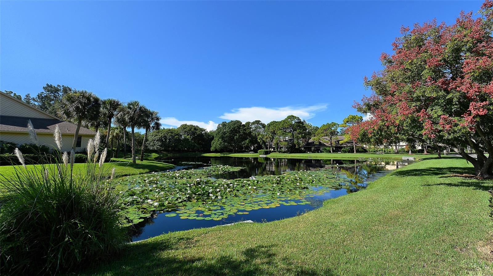 3715 PINECONE CT #169 — photo 61