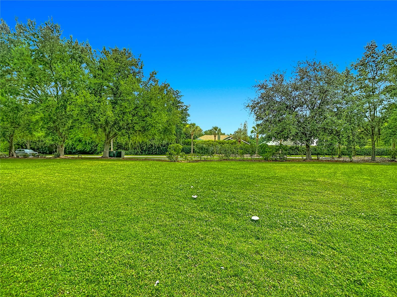 25956 TERRAWOOD LOOP — photo 43