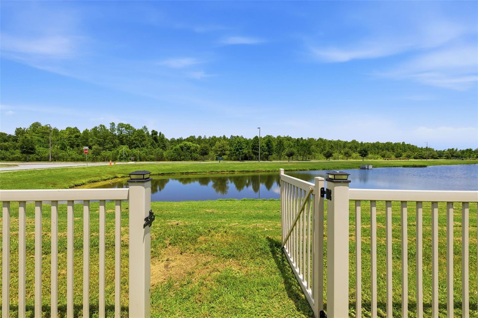 2920 GRIDIRON ISLE — photo 38