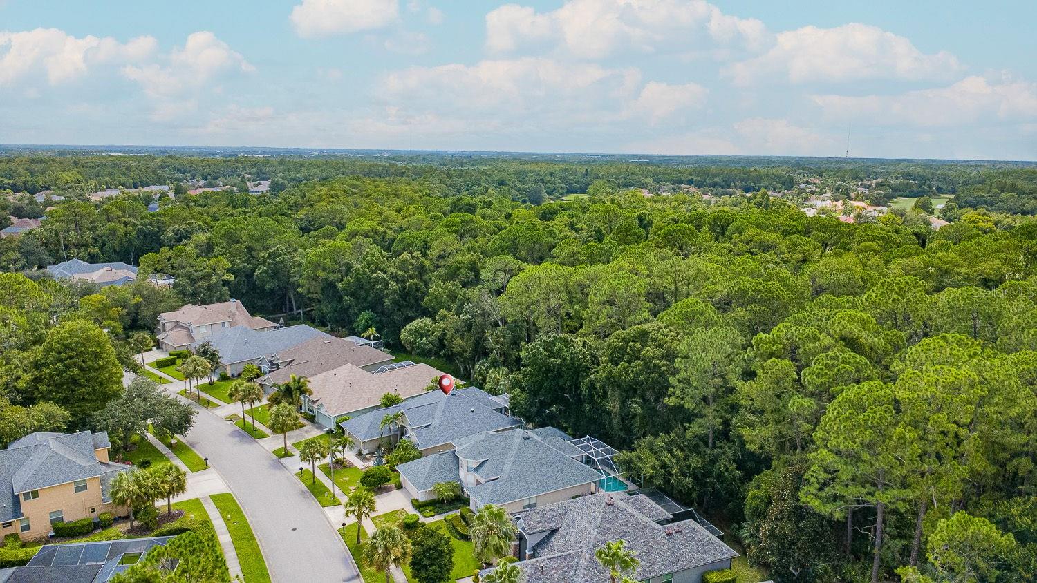 9814 GRETNA GREEN DR — photo 5